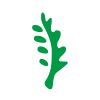 العربية للاسمنت (ARCC)