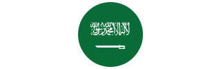 الشركة السعودية للصناعات الجيرية (9566)